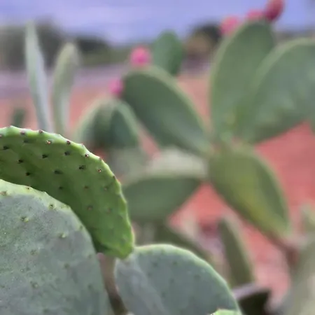 Annette #vivere La Puglia Villa *